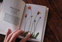 Clearance Box (Price Varies)