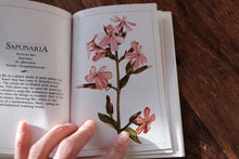 Clearance Box (Price Varies)