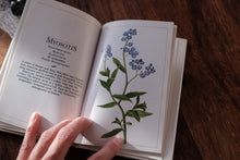 Clearance Box (Price Varies)