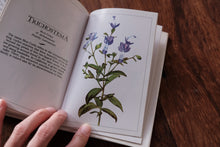 Clearance Box (Price Varies)