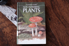 Clearance Box (Price Varies)