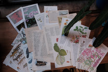 A box of things - for junk journaling/scrapbooking