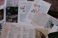 A box of things - for junk journaling/scrapbooking