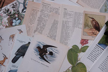 A box of things - for junk journaling/scrapbooking