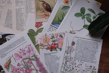 A box of things - for junk journaling/scrapbooking