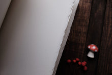 Close-up of a white surface with a red and white mushroom and berries on a dark background