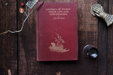 Vintage book titled 'Animals of Today Their Life and Conversation' by C.J. Cornish on a wooden surface.