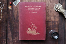 Red book titled 'Animals of To-Day Their Life and Conversation' on a wooden surface with decorative items.