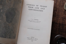 Book titled 'Animals of to-day Their Life and Conversation' by C.J. Cornish on a wooden surface.