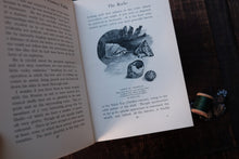 Open book with illustrations and text on a wooden surface