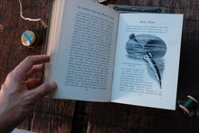 Open book on a wooden surface with a hand holding it, featuring text and an illustration of a fish.