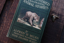 Vintage book titled 'A Hundred Fascinating Animal Stories' with a leopard illustration on a wooden surface.