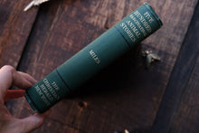 Green book titled 'Five Hundred Escapade Stories' held by a hand on a wooden surface