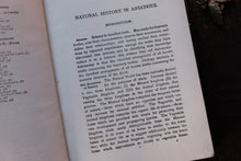 Open book with text on a dark background