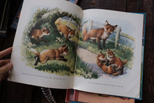 Vintage Children Book