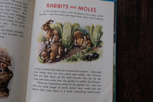 Vintage Children Book