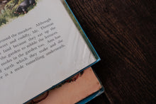 Vintage Children Book