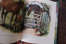 Vintage Children Book
