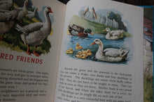 Vintage Children Book