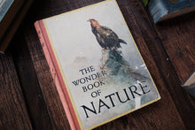 The Wonder Book of Nature