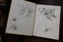 The Wonder Book of Nature