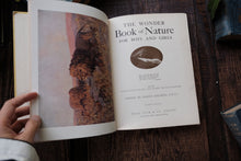 The Wonder Book of Nature