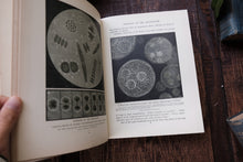 The Wonder Book of Nature