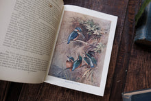 The Wonder Book of Nature