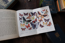 The Wonder Book of Nature