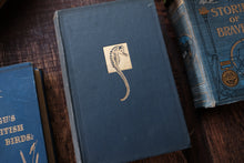 Blue books with embossed designs on a wooden surface
