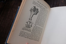 Open book with illustrations and text on a wooden surface