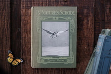 Book cover with owl illustration and text 'In Nature's School' on a dark background