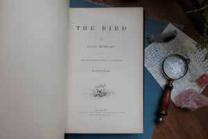 The Bird by Jules Michelet