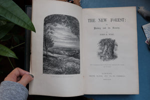 The New Forest by John R. Wise