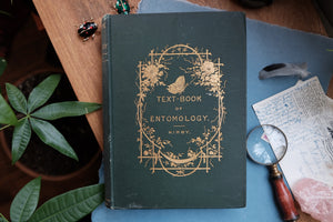 Elementary Text-Book of Entomology