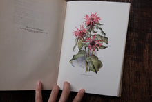 The Herb Garden by France A. Bardswell
