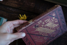 Field Flowers by Shirley Hibberd (not collectible)