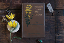 Fragrant Flowers and Leaves