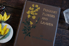 Fragrant Flowers and Leaves