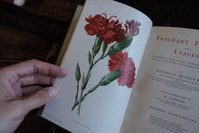 Fragrant Flowers and Leaves