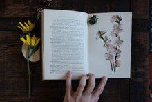 Fragrant Flowers and Leaves