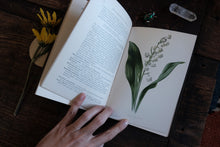 Fragrant Flowers and Leaves