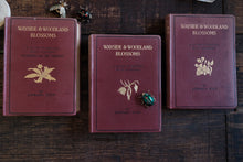 Complete of Set of 3 Wayside and Woodland Blossoms