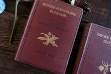 Complete of Set of 3 Wayside and Woodland Blossoms