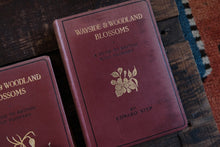 Complete of Set of 3 Wayside and Woodland Blossoms