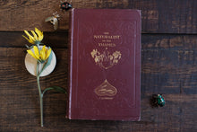 The Naturalist on the Thames