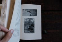 The Naturalist on the Thames
