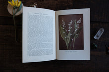 All About Gardening