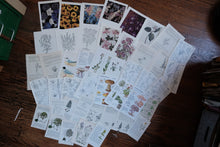 Vintage Floral Set for Junk Journaling/Scrapbooking