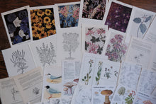 Vintage Floral Set for Junk Journaling/Scrapbooking